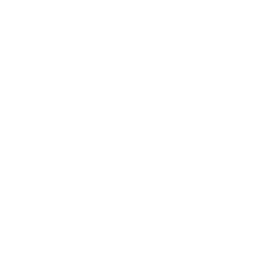 Cruxis Group Honduras